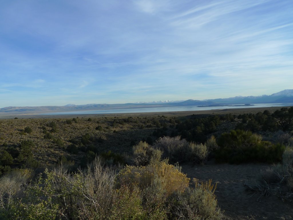 californiafall2010021.jpg