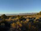 californiafall2010059_small.jpg