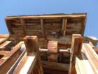 californiafall2010077_small.jpg