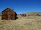 californiafall2010085_small.jpg