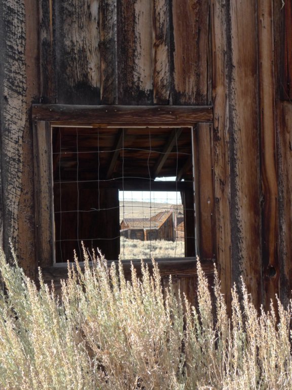 californiafall2010093.jpg