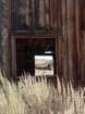 californiafall2010093_small.jpg
