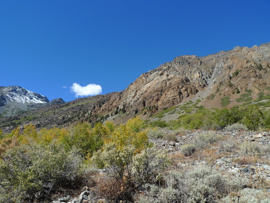 californiafall2010116.jpg