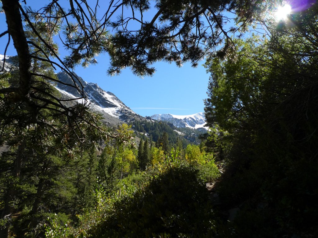 californiafall2010160.jpg