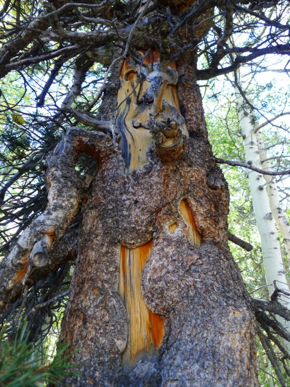 californiafall2010172.jpg