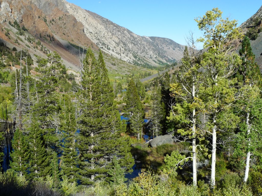 californiafall2010198.jpg