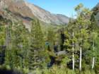 californiafall2010198_small.jpg