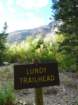 californiafall2010203_small.jpg