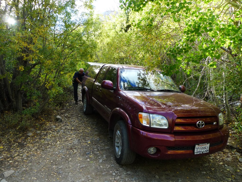 californiafall2010204.jpg