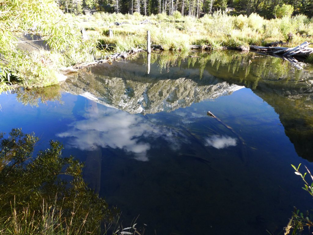 californiafall2010216.jpg