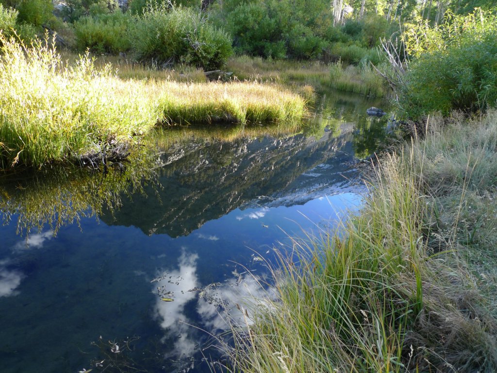 californiafall2010224.jpg