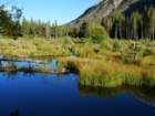 californiafall2010233_small.jpg