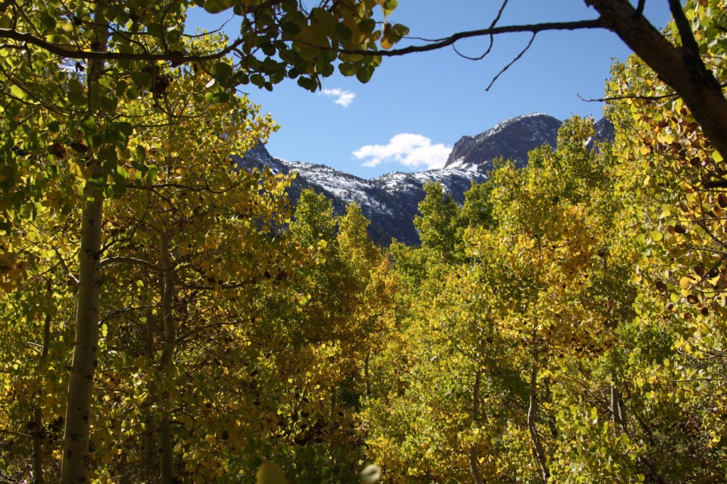 img_9666.jpg