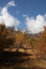 IMG_9900