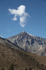 IMG_9939