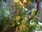 halloween_2010006_small.jpg