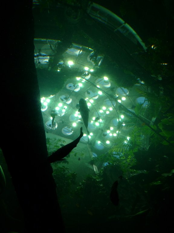 halloween_2010023.jpg