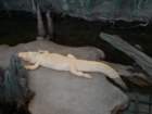 halloween_2010031_small.jpg