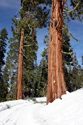 IMG_0014