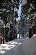 IMG_0028
