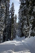 IMG_0035