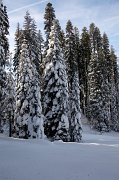 IMG_0042