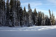 IMG_0044