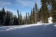 IMG_0045