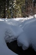 IMG_0059