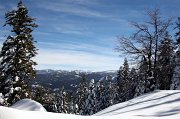IMG_0086