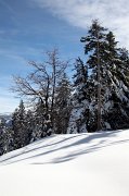 IMG_0087