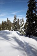 IMG_0092