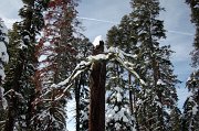 IMG_0093
