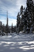 IMG_0094