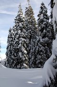 IMG_0096