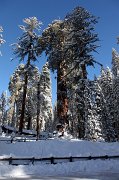 IMG_0098