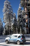IMG_0106