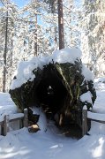 IMG_0113