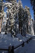 IMG_0120