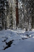 IMG_0129