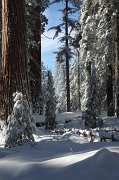 IMG_0132