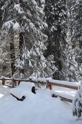 IMG_0140