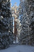 IMG_0141