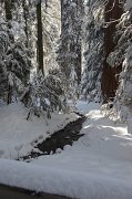 IMG_0143