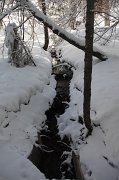 IMG_0148