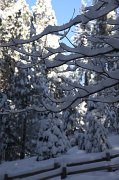IMG_0152