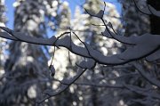 IMG_0153