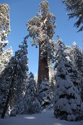 IMG_0154
