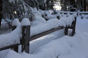 IMG_0157