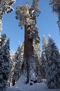 IMG_0158